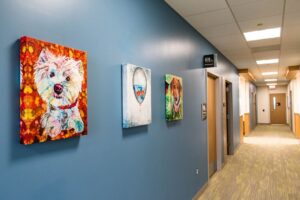 Art in Healthcare