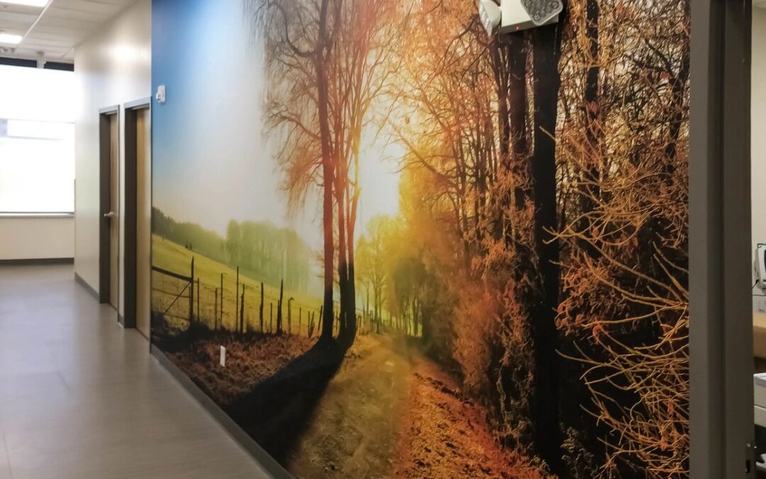 The Benefits of Wall Graphics in Healthcare Environments