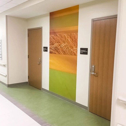 Wall Graphics - Health Environment Services