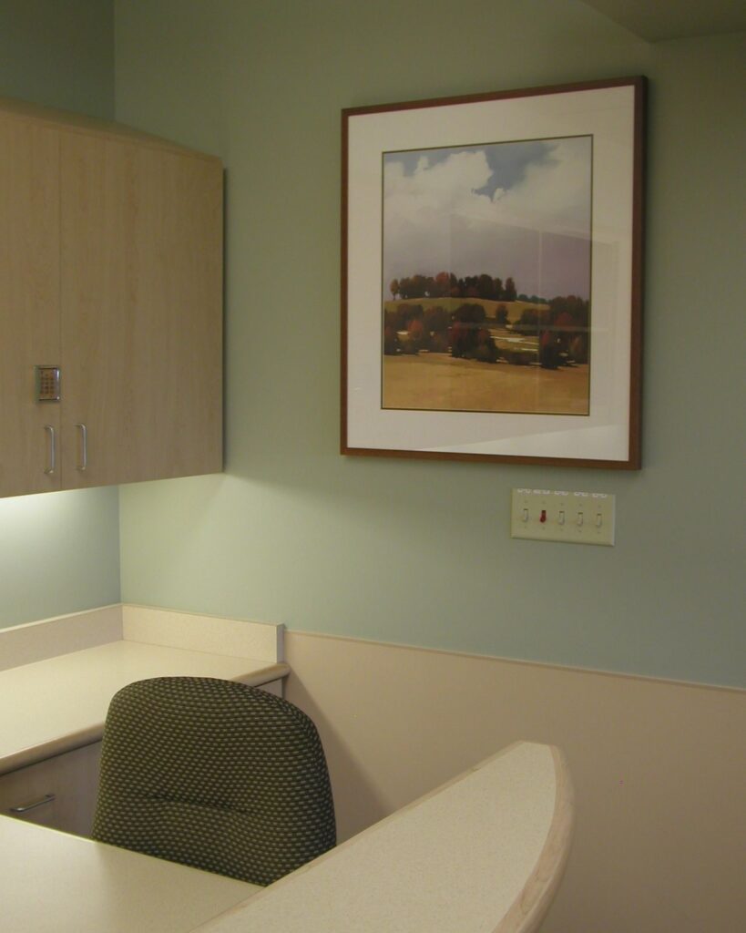 Provena Mercy Medical Center - Health Environment Art Services