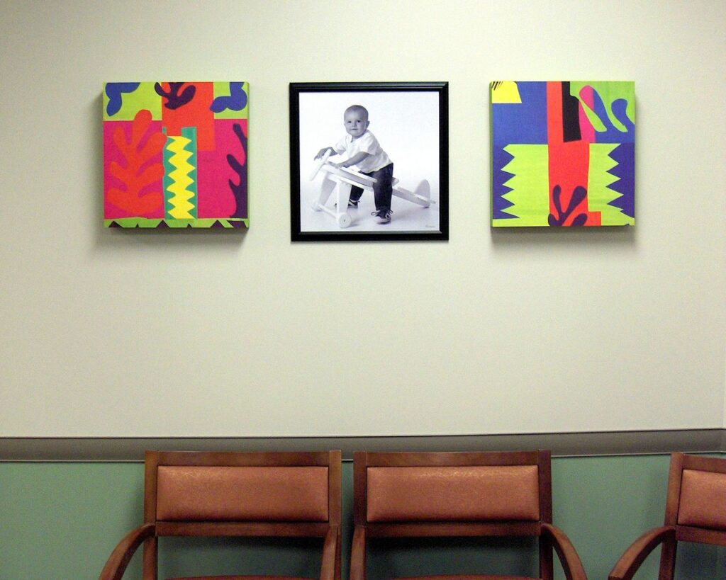 Fox Valley Women's & Children's Health Partners - Health Environment Art Services