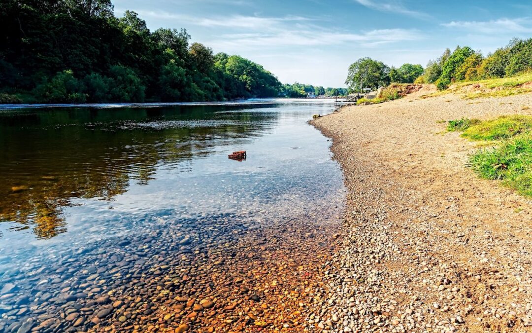 Unplug that Plasma Screen, Take Two Doses of Nature